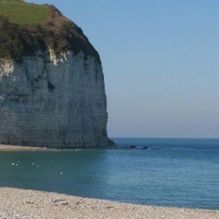 Bord De Mer : Charmante Maison De Pecheur イポール エクステリア 写真